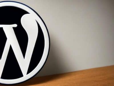 Custom WordPress Development vs Paid Theme?